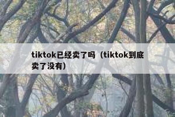 tiktok已经卖了吗（tiktok到底卖了没有） 第1张