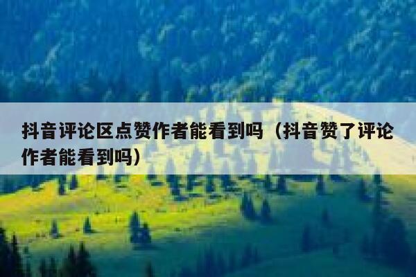 抖音评论区点赞作者能看到吗（抖音赞了评论作者能看到吗） 第1张