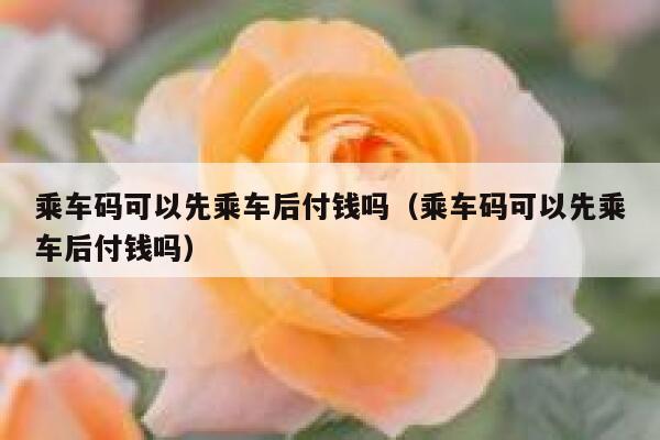 乘车码可以先乘车后付钱吗（乘车码可以先乘车后付钱吗） 第1张