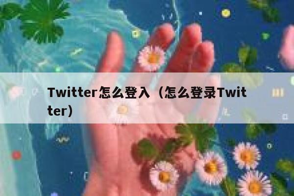 Twitter怎么登入（怎么登录Twitter） 第1张