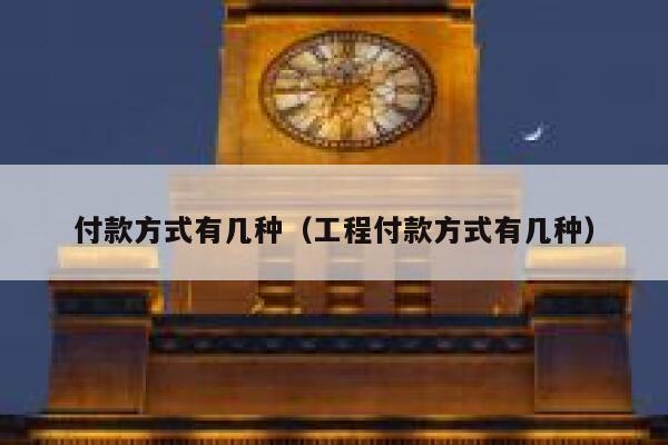 付款方式有几种（工程付款方式有几种） 第1张