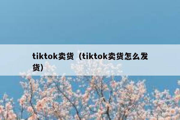 tiktok卖货（tiktok卖货怎么发货） 第1张