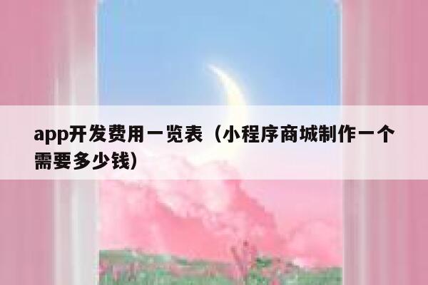 app开发费用一览表（小程序商城制作一个需要多少钱） 第1张