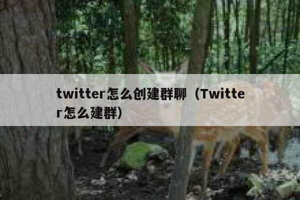 twitter怎么创建群聊（Twitter怎么建群） 第1张