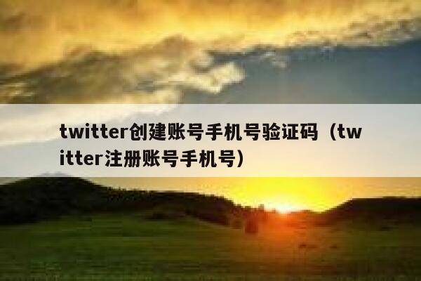 twitter创建账号手机号验证码（twitter注册账号手机号） 第1张