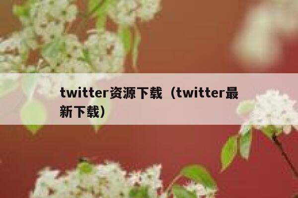 twitter资源下载（twitter最新下载） 第1张