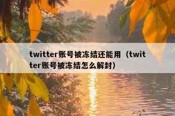 twitter账号被冻结还能用(twitter账号被冻结怎么解封) 第1张 twitter账号被冻结还能用(twitter账号被冻结怎么解封) 第1张
