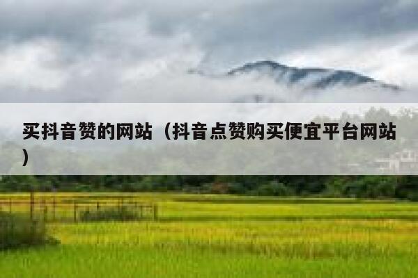 买抖音赞的网站（抖音点赞购买便宜平台网站） 第1张