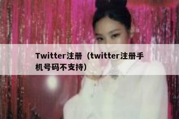 Twitter注册（twitter注册手机号码不支持） 第1张