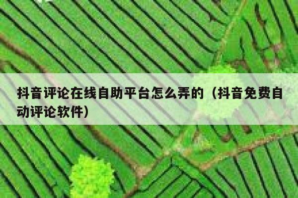 抖音评论在线自助平台怎么弄的（抖音免费自动评论软件） 第1张
