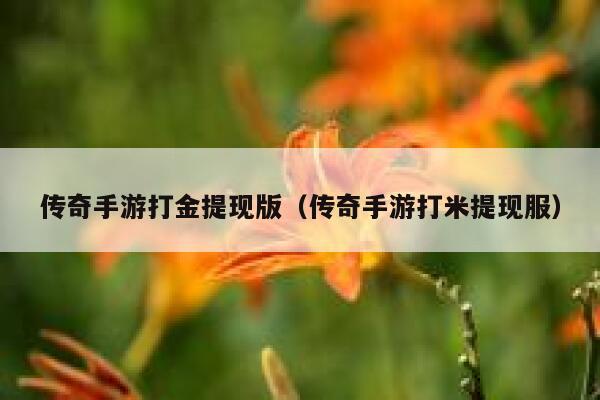 传奇手游打金提现版(传奇手游打米提现服) 第1张 传奇手游打金提现版(传奇手游打米提现服) 第1张