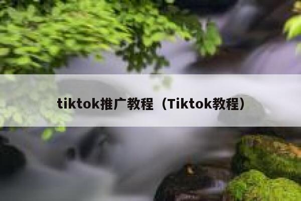 tiktok推广教程（Tiktok教程） 第1张