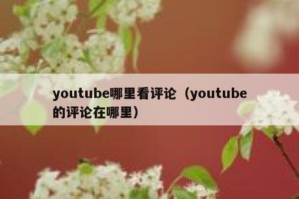 youtube哪里看评论（youtube的评论在哪里） 第1张