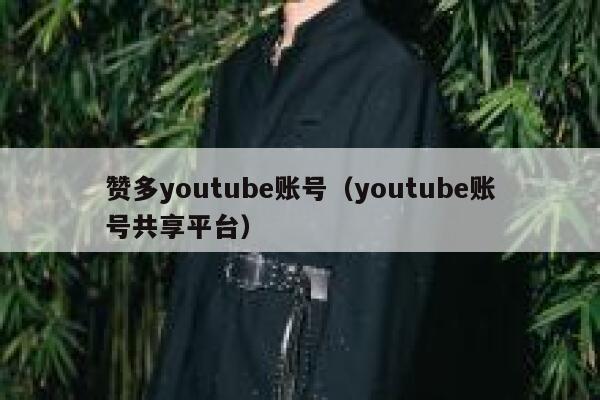 赞多youtube账号（youtube账号共享平台） 第1张