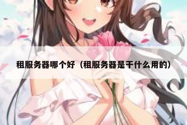 租服务器哪个好（租服务器是干什么用的） 第1张