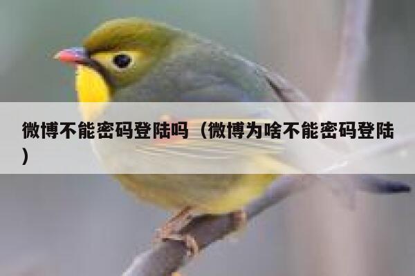 微博不能密码登陆吗(微博为啥不能密码登陆) 第1张 微博不能密码登陆吗(微博为啥不能密码登陆) 第1张