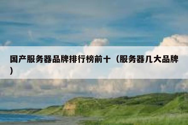 国产服务器品牌排行榜前十（服务器几大品牌） 第1张