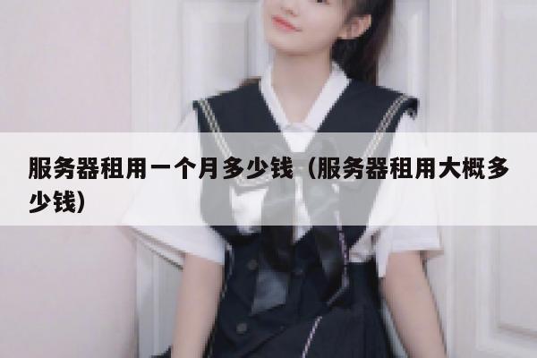 服务器租用一个月多少钱（服务器租用大概多少钱） 第1张