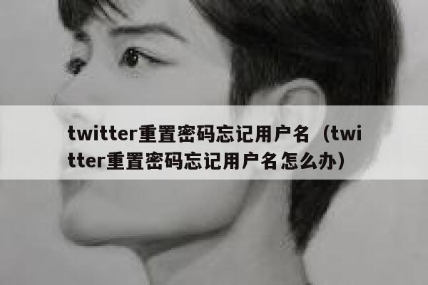 twitter重置密码忘记用户名(twitter重置密码忘记用户名怎么办) 第1张 twitter重置密码忘记用户名(twitter重置密码忘记用户名怎么办) 第1张