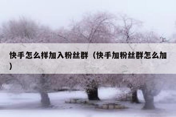 快手怎么样加入粉丝群(快手加粉丝群怎么加) 第1张 快手怎么样加入粉丝群(快手加粉丝群怎么加) 第1张