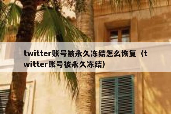 twitter账号被永久冻结怎么恢复（twitter账号被永久冻结） 第1张