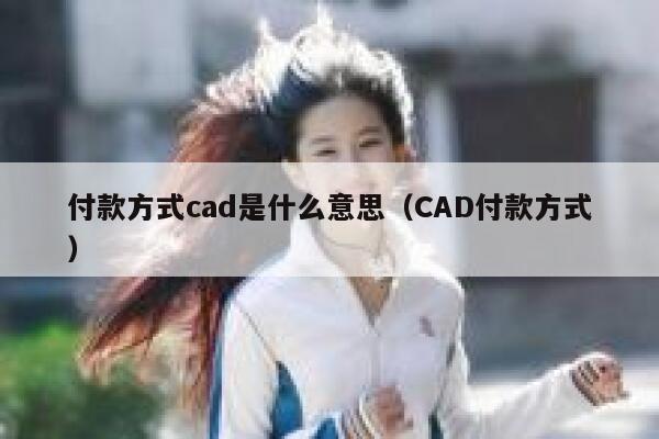 付款方式cad是什么意思（CAD付款方式） 第1张