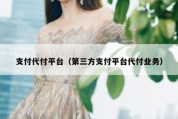 支付代付平台（第三方支付平台代付业务） 第1张