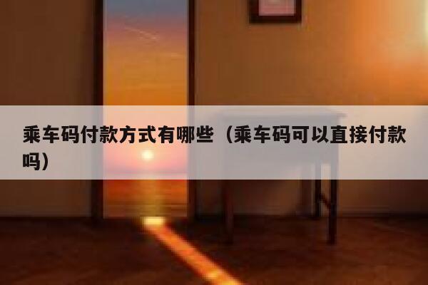 乘车码付款方式有哪些(乘车码可以直接付款吗) 第1张 乘车码付款方式有哪些(乘车码可以直接付款吗) 第1张