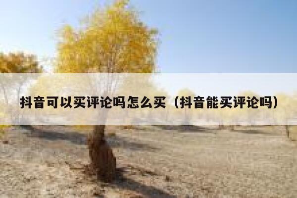 抖音可以买评论吗怎么买(抖音能买评论吗) 第1张 抖音可以买评论吗怎么买(抖音能买评论吗) 第1张