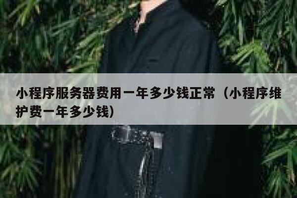 小程序服务器费用一年多少钱正常（小程序维护费一年多少钱） 第1张