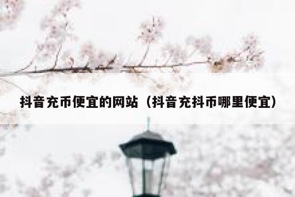 抖音充币便宜的网站（抖音充抖币哪里便宜） 第1张