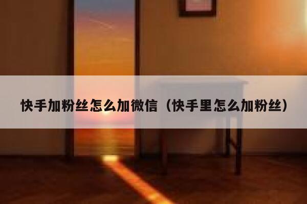快手加粉丝怎么加微信（快手里怎么加粉丝） 第1张