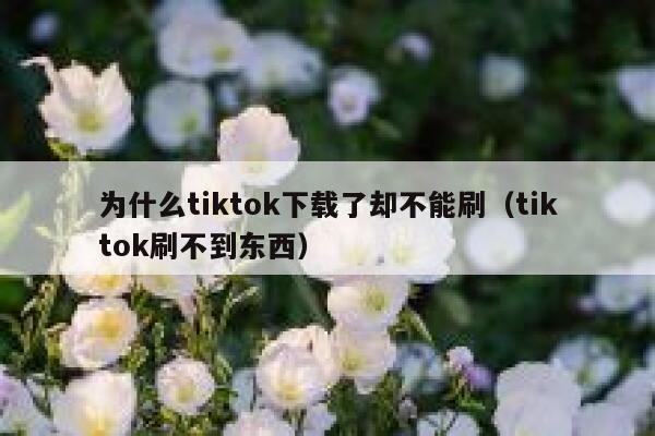 为什么tiktok下载了却不能刷（tiktok刷不到东西） 第1张