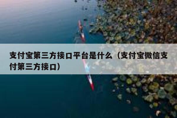 支付宝第三方接口平台是什么（支付宝微信支付第三方接口） 第1张