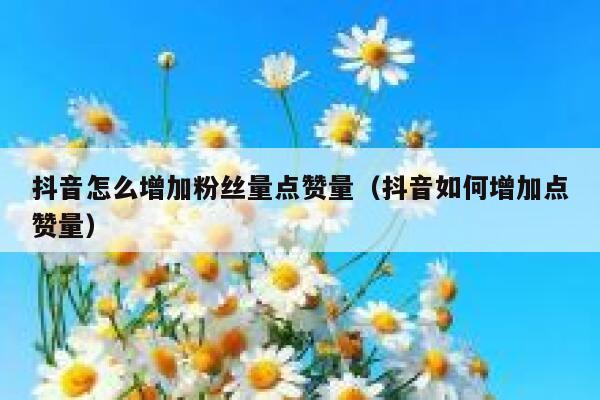 抖音怎么增加粉丝量点赞量（抖音如何增加点赞量） 第1张