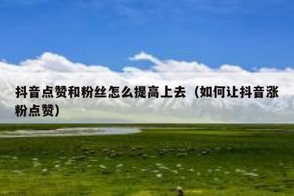 抖音点赞和粉丝怎么提高上去（如何让抖音涨粉点赞） 第1张