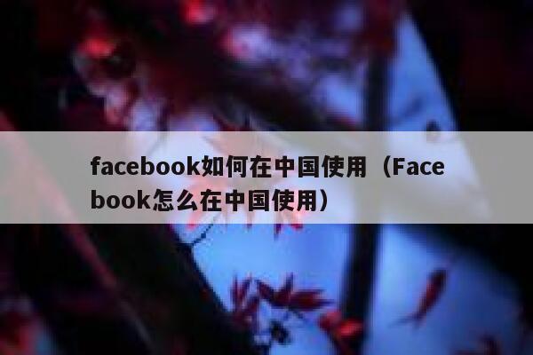 facebook如何在中国使用（Facebook怎么在中国使用） 第1张