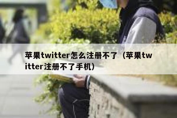 苹果twitter怎么注册不了（苹果twitter注册不了手机） 第1张