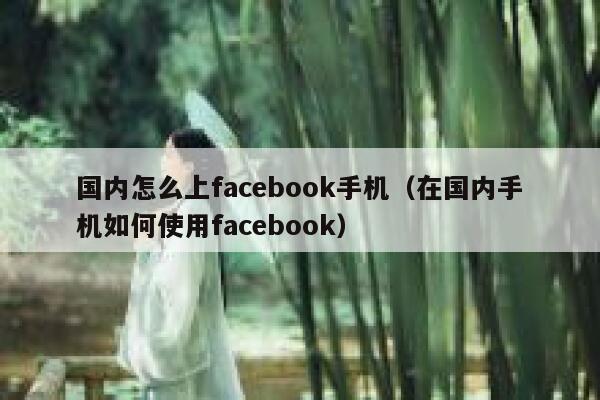 国内怎么上facebook手机（在国内手机如何使用facebook） 第1张