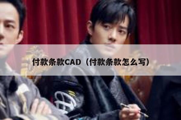 付款条款CAD（付款条款怎么写） 第1张