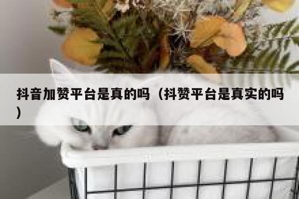 抖音加赞平台是真的吗（抖赞平台是真实的吗） 第1张