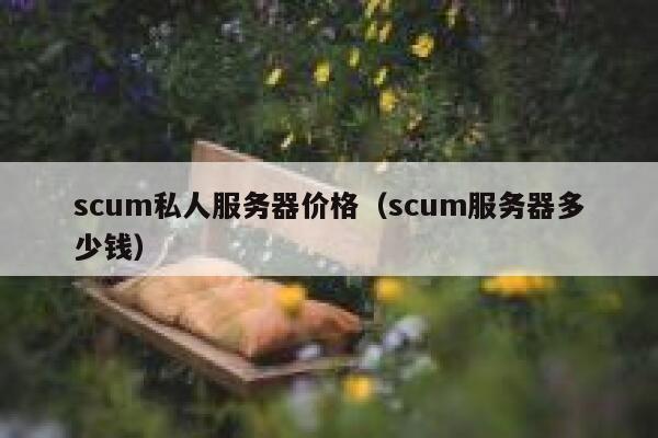 scum私人服务器价格（scum服务器多少钱） 第1张