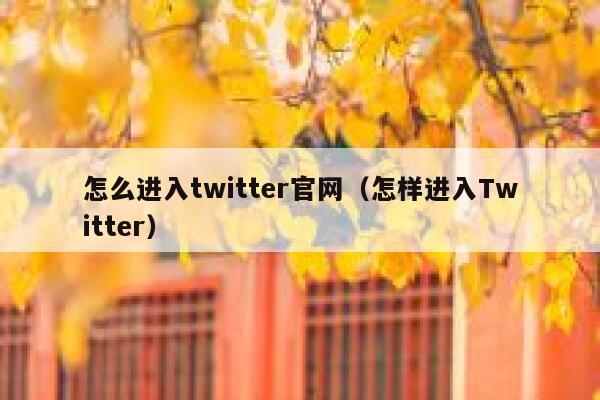 怎么进入twitter官网（怎样进入Twitter） 第1张