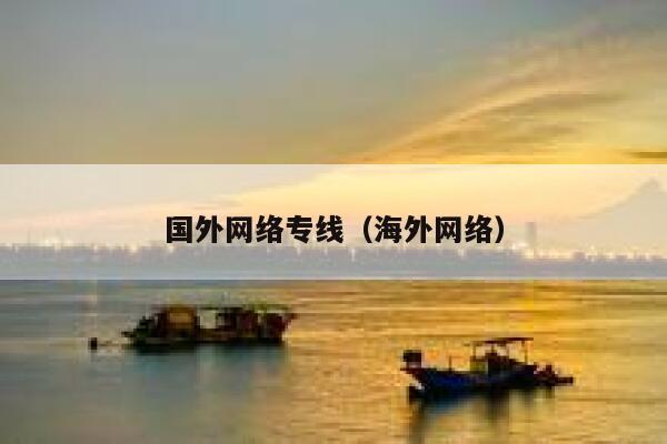 国外网络专线（海外网络） 第1张