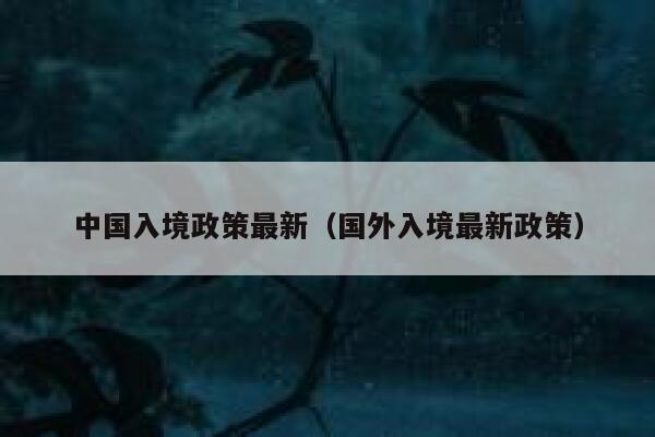 中国入境政策最新（国外入境最新政策） 第1张