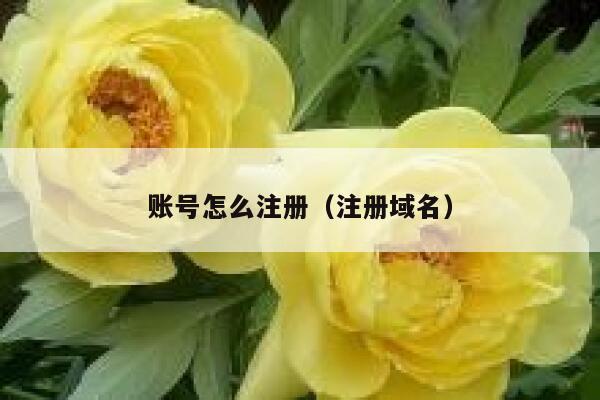 账号怎么注册（注册域名） 第1张