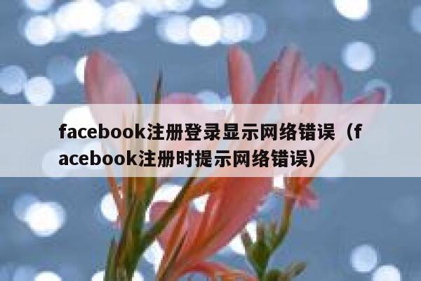 facebook注册登录显示网络错误（facebook注册时提示网络错误） 第1张