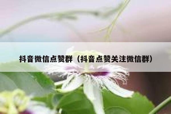 抖音微信点赞群（抖音点赞关注微信群） 第1张