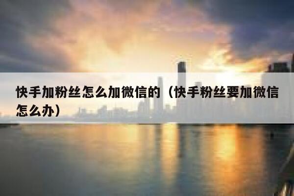 快手加粉丝怎么加微信的（快手粉丝要加微信怎么办） 第1张