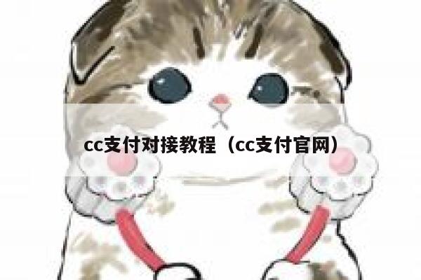 cc支付对接教程（cc支付官网） 第1张